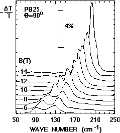 Fig.25